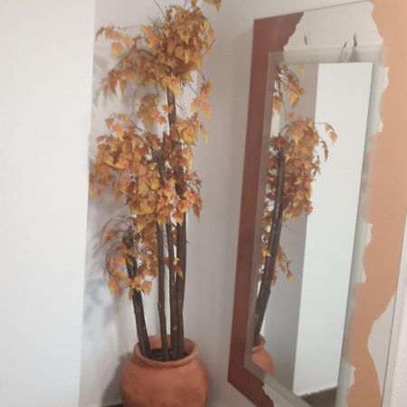 Apartamento Gloria Patricia Alcantarilla  Esterno foto