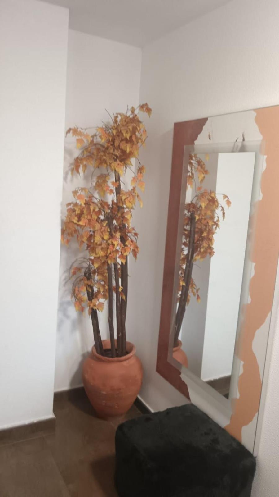 Apartamento Gloria Patricia Alcantarilla  Esterno foto